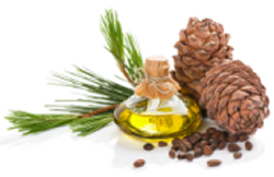 1 oz of 100% pure cedar oil for odifiers, aromatherapy and other uses. - Cedar-Oil-Natural-Pesticide